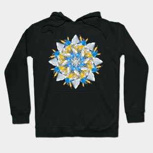 Snowboarding mandala Hoodie